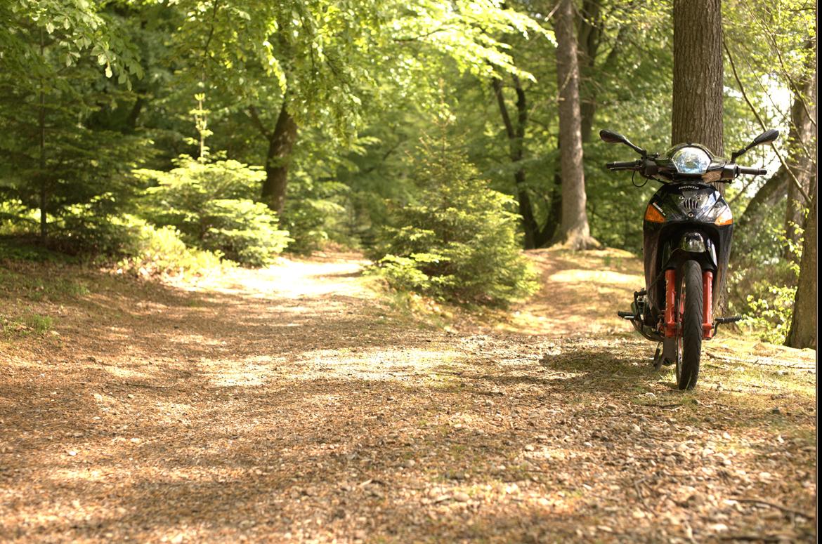 Honda ANF Innova 125 billede 6