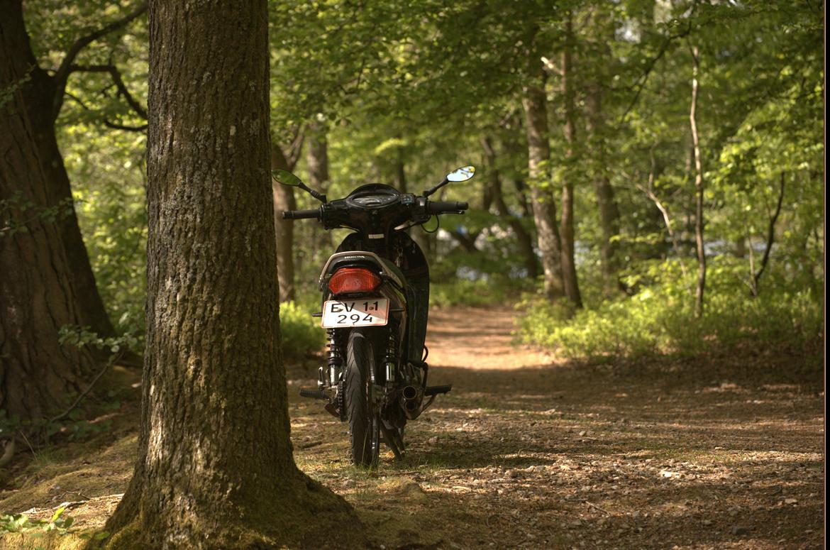 Honda ANF Innova 125 billede 5