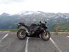 Kawasaki ZX6R 636 [Tidl. motorcykel]