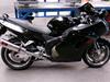 Honda blackbird [Tidl. motorcykel]