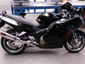 Honda blackbird