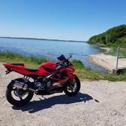 Honda CBR600 F4i Sport