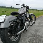 Harley Davidson Sportster 1974 (1988 Evo motor) RAW