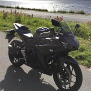 Yamaha YZF R3
