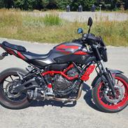 Yamaha MT-07 Moto Cage / ABS