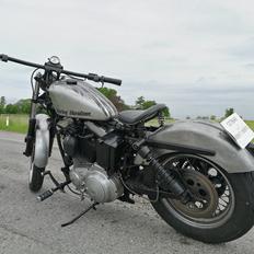 Harley Davidson Sportster 1974 (1988 Evo motor) RAW