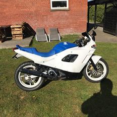 Suzuki GSX600F