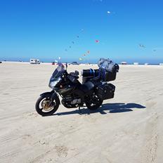 Suzuki DL 650 V Strom