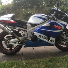 Suzuki TL1000r