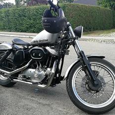 Harley Davidson Sportster 1974 (1988 Evo motor) RAW