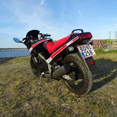 Kawasaki GPZ 500S SOLGT 