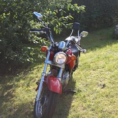 Suzuki GZ 250 Marauder