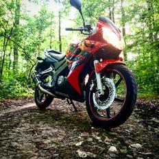 Honda CBR 125r
