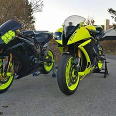 Yamaha R6 - Baneracer 