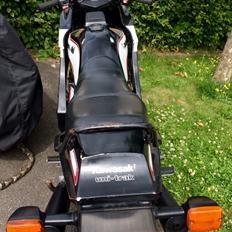 Kawasaki Gpz400F2 unitrak