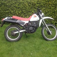 Honda xl250r