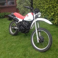 Honda xl250r