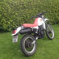 Honda xl250r