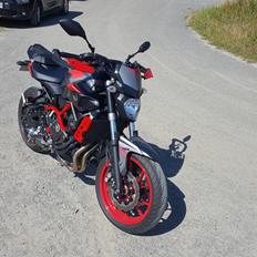 Yamaha MT-07 Moto Cage / ABS