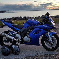 Suzuki SV 1000S K7