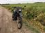Honda XLV 750
