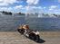 Yamaha Dragstar xvs 1100 custom