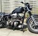 Harley Davidson flh