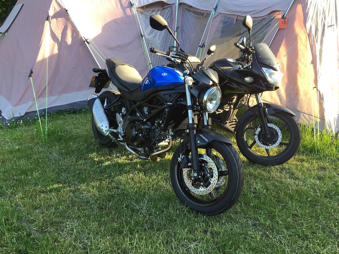 Suzuki SV650  billede 1