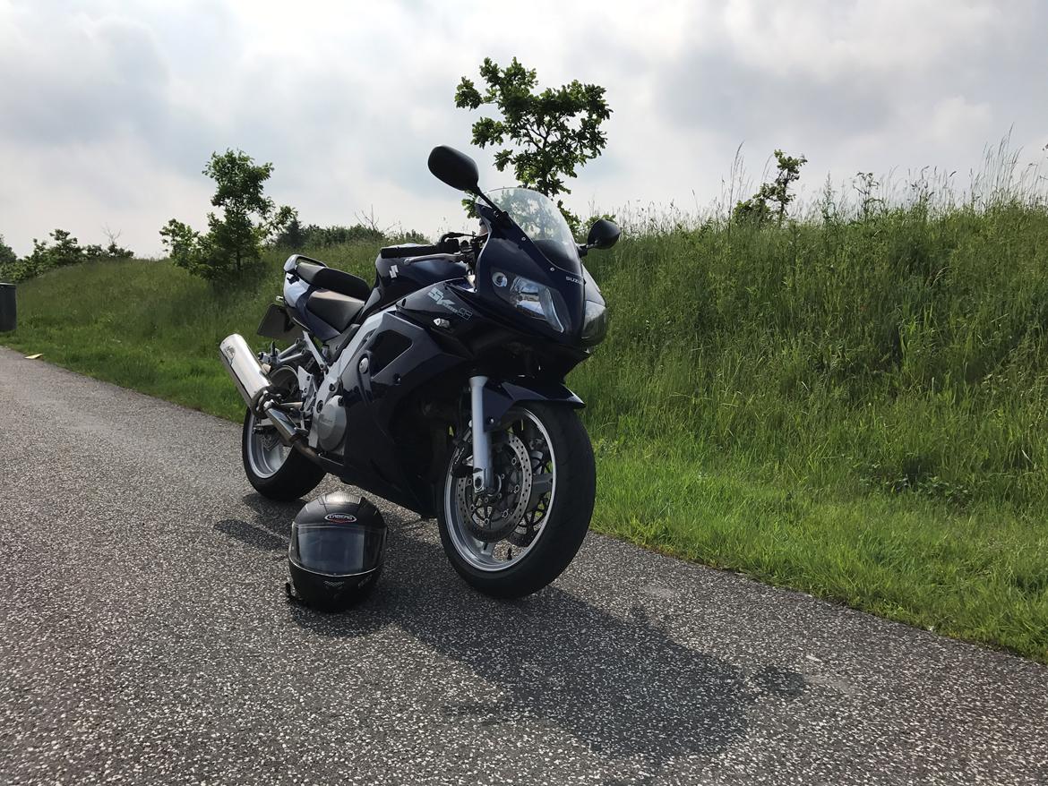 Suzuki SV 1000s -Solgt.  billede 1