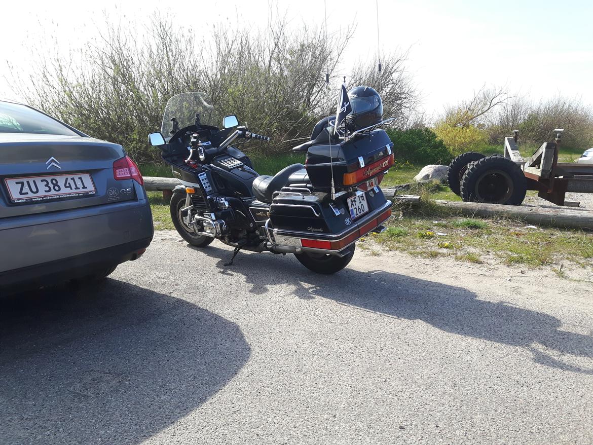 Honda GL1200 SEI billede 6