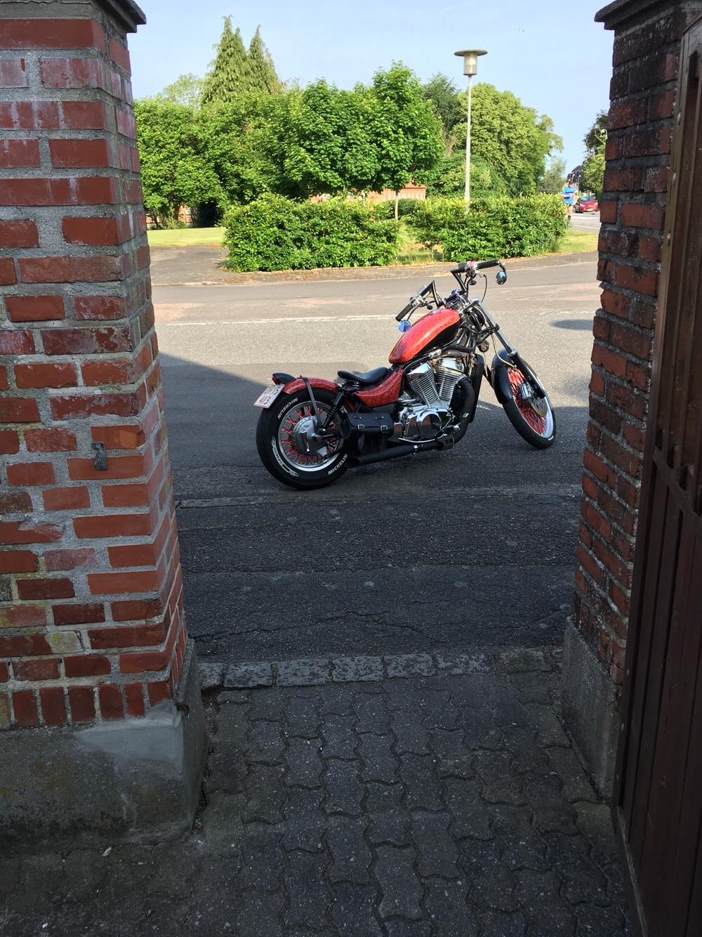 Suzuki Vs 600 bobber billede 3