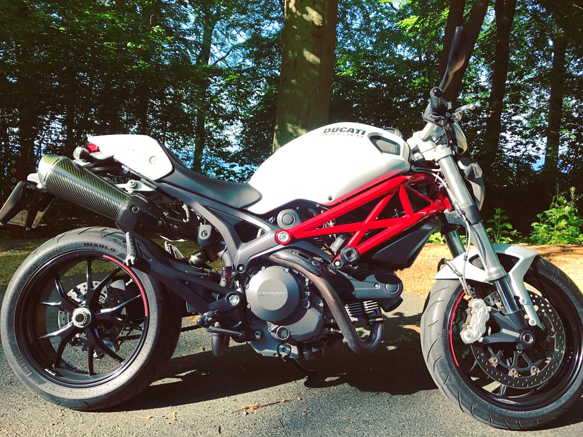 Ducati Monster 796 ABS  billede 1