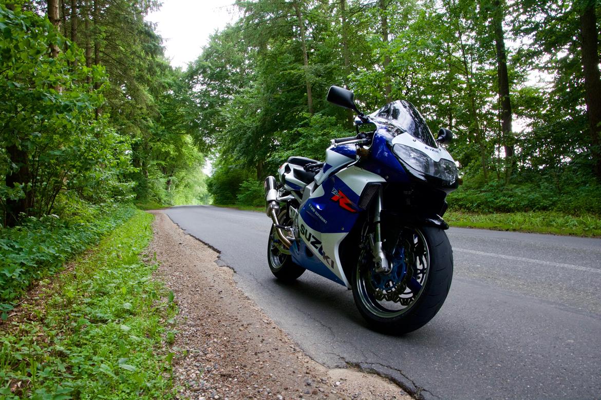 Suzuki TL1000R  billede 8