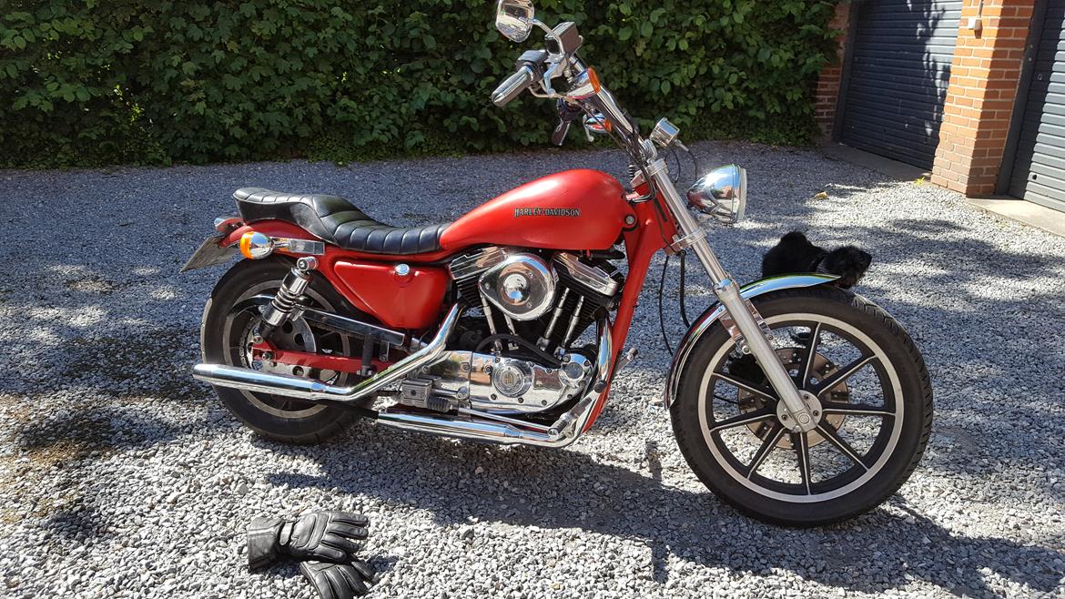 Harley Davidson Sportser 883 billede 9