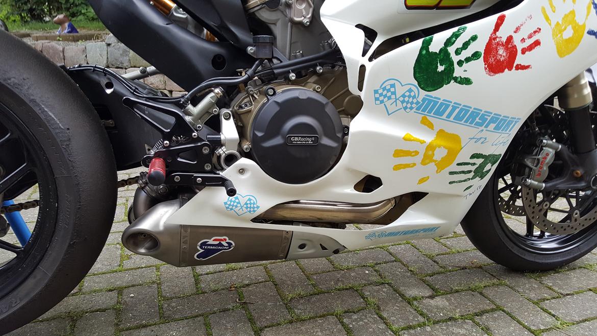 Ducati 1199 Panigale "Banejern" billede 9