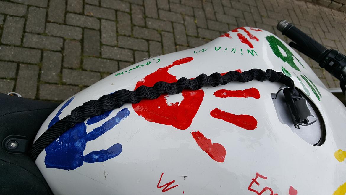 Ducati 1199 Panigale "Banejern" billede 15