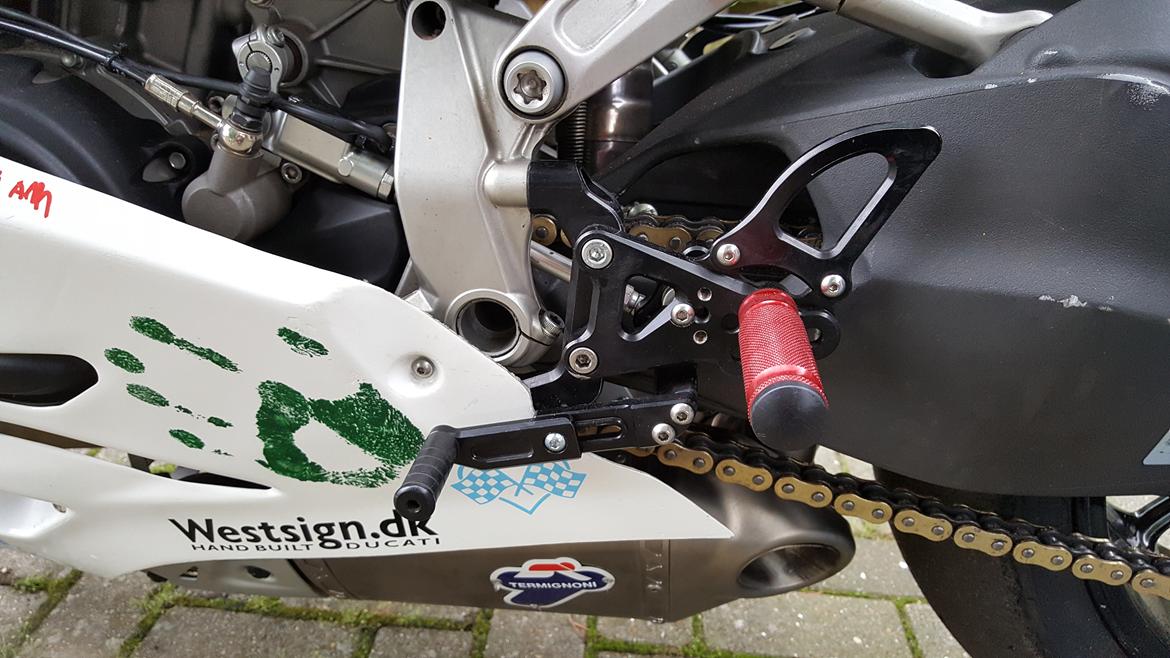 Ducati 1199 Panigale "Banejern" billede 18