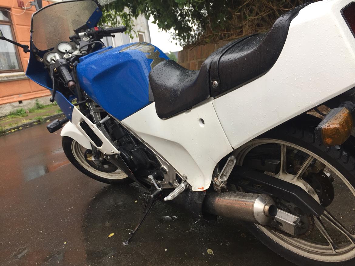 Suzuki RG billede 4
