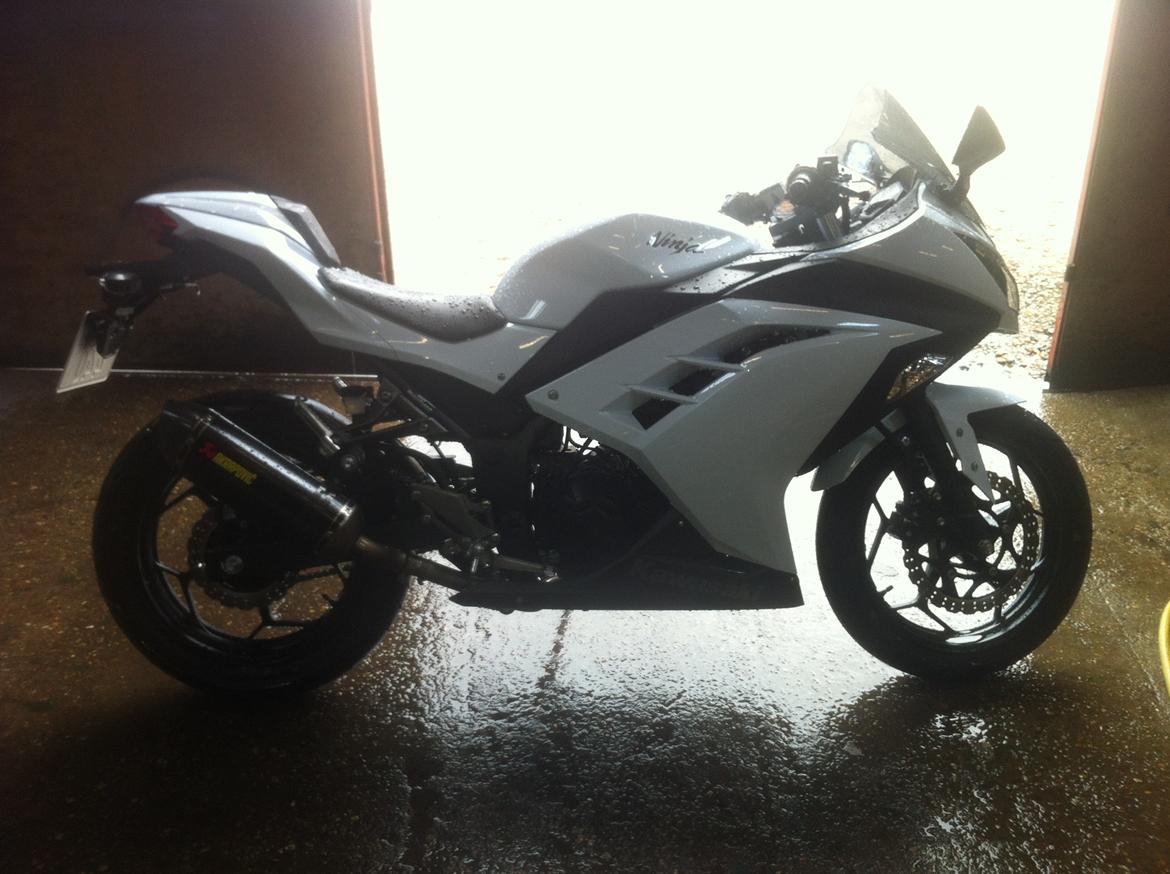 Kawasaki Ninja 300 ( ZX-3R) billede 18