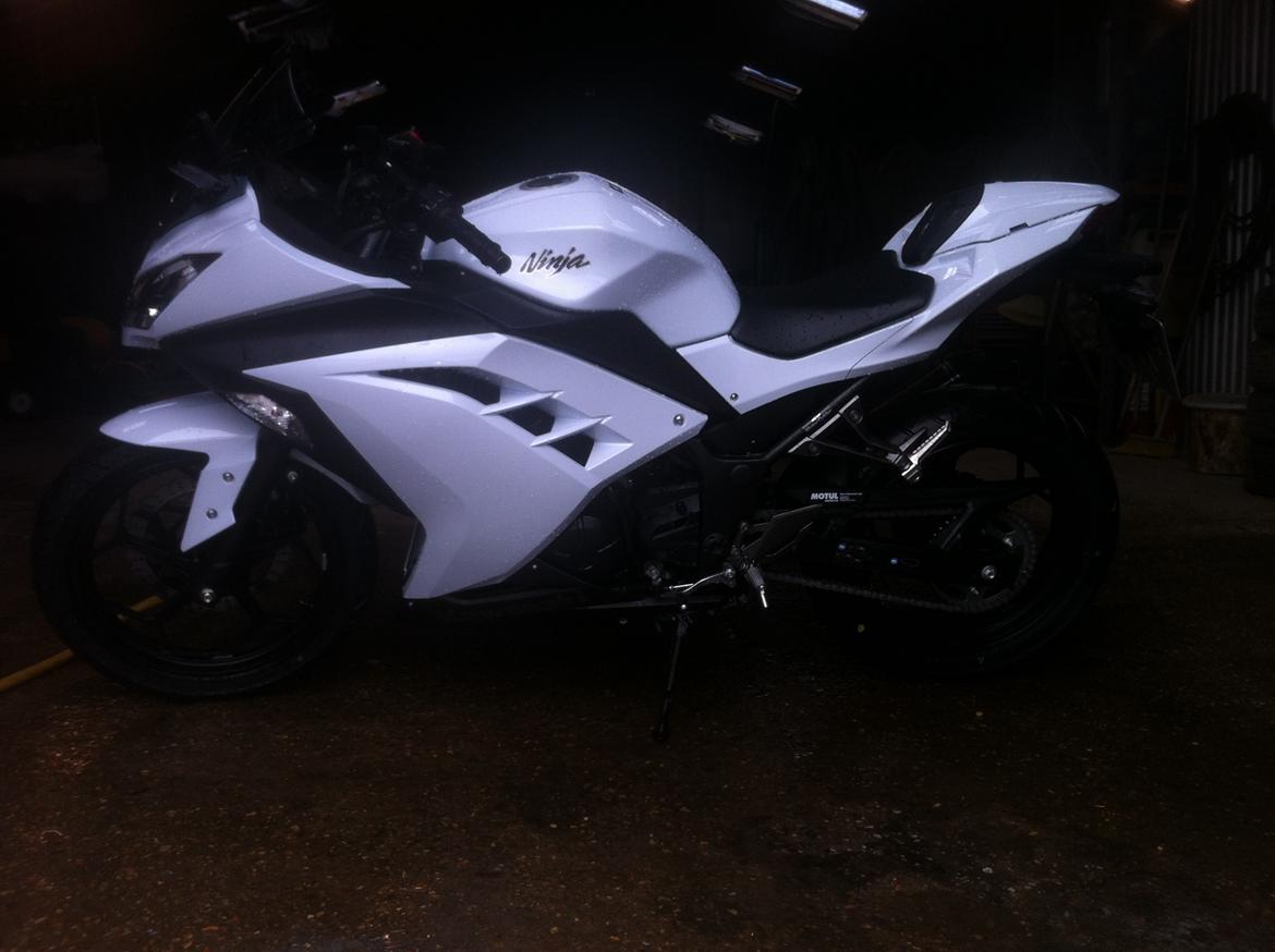 Kawasaki Ninja 300 ( ZX-3R) billede 19