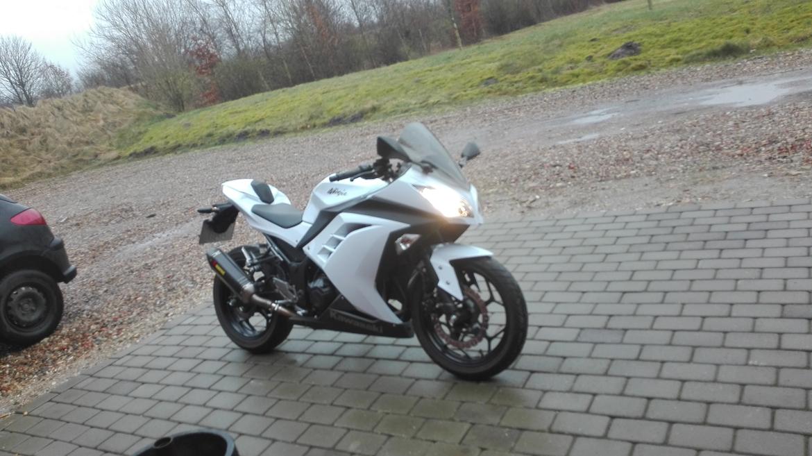 Kawasaki Ninja 300 ( ZX-3R) billede 28