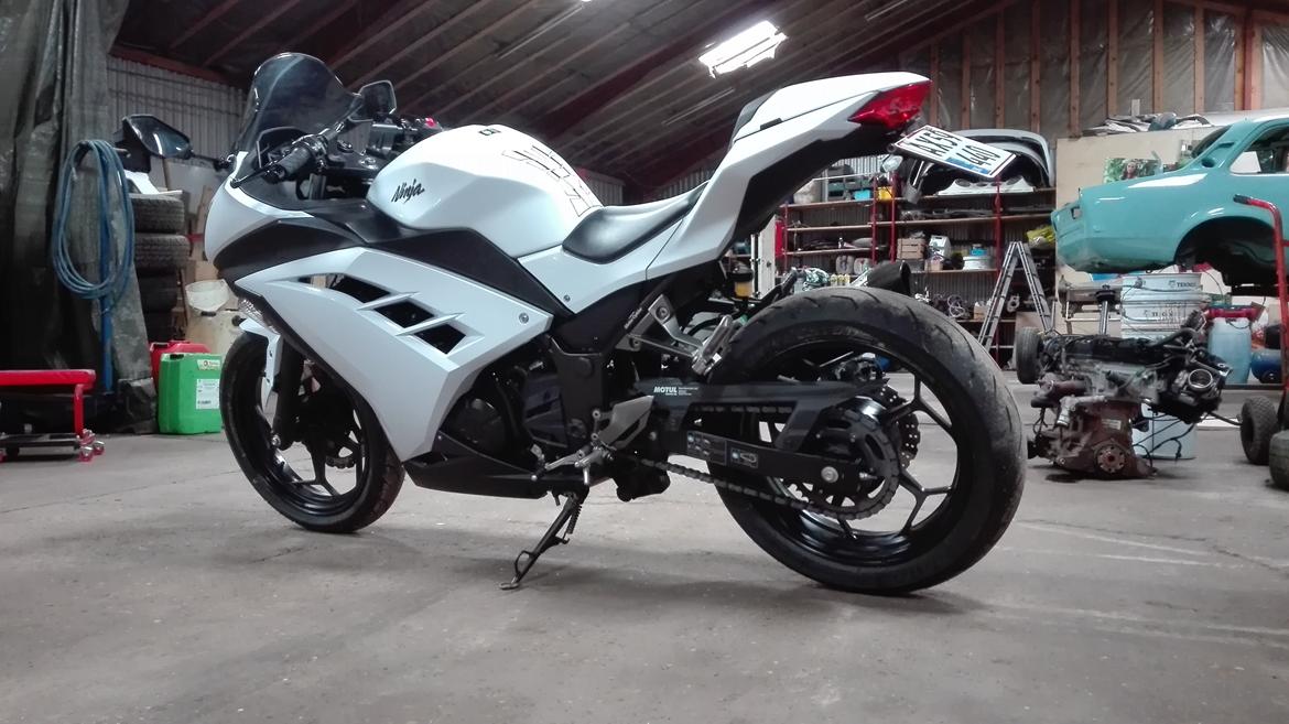 Kawasaki Ninja 300 ( ZX-3R) billede 5