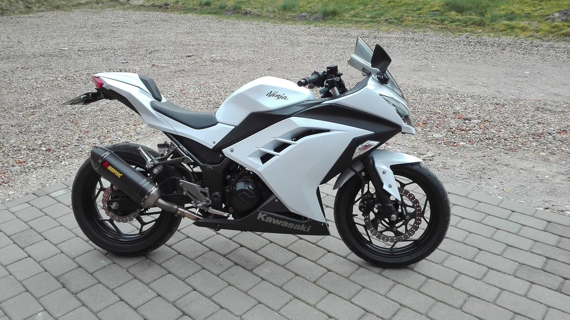 Kawasaki Ninja 300 ( ZX-3R) billede 1