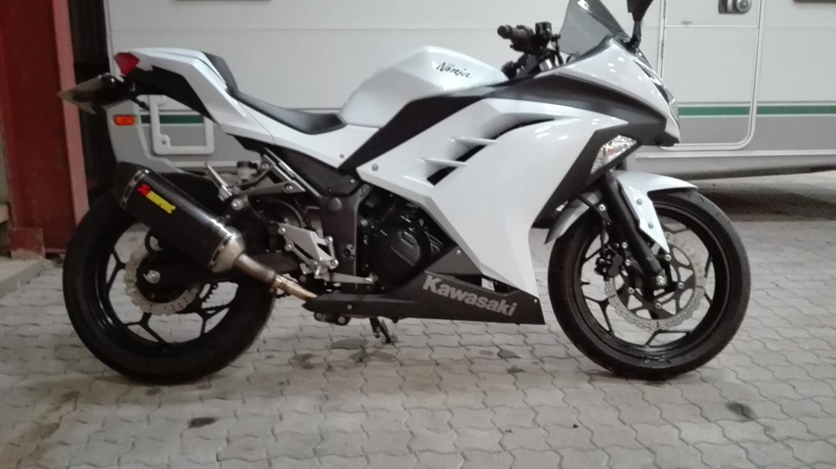 Kawasaki Ninja 300 ( ZX-3R) billede 4