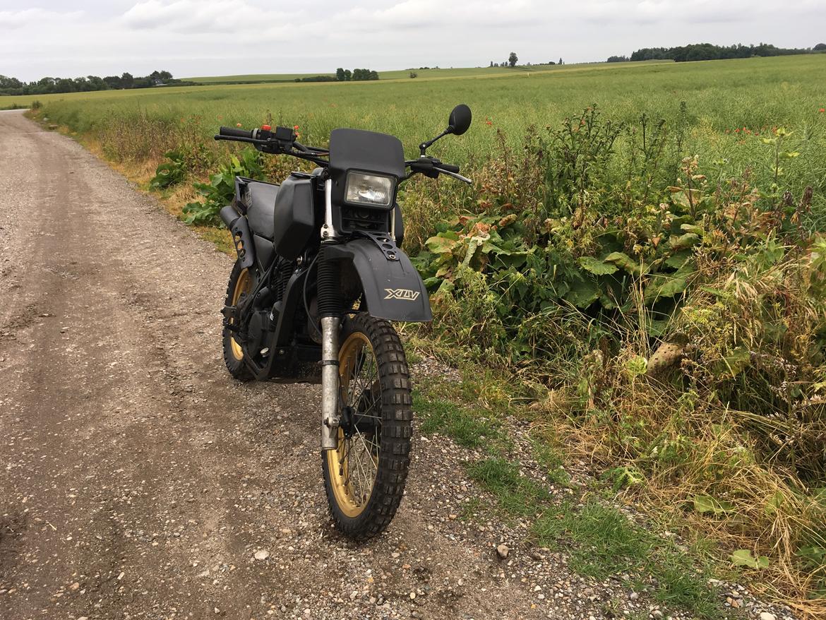 Honda XLV 750 billede 6