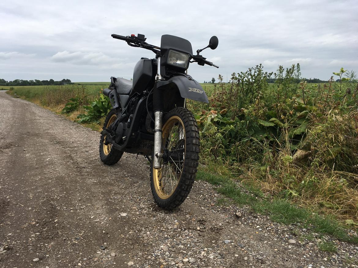 Honda XLV 750 billede 8