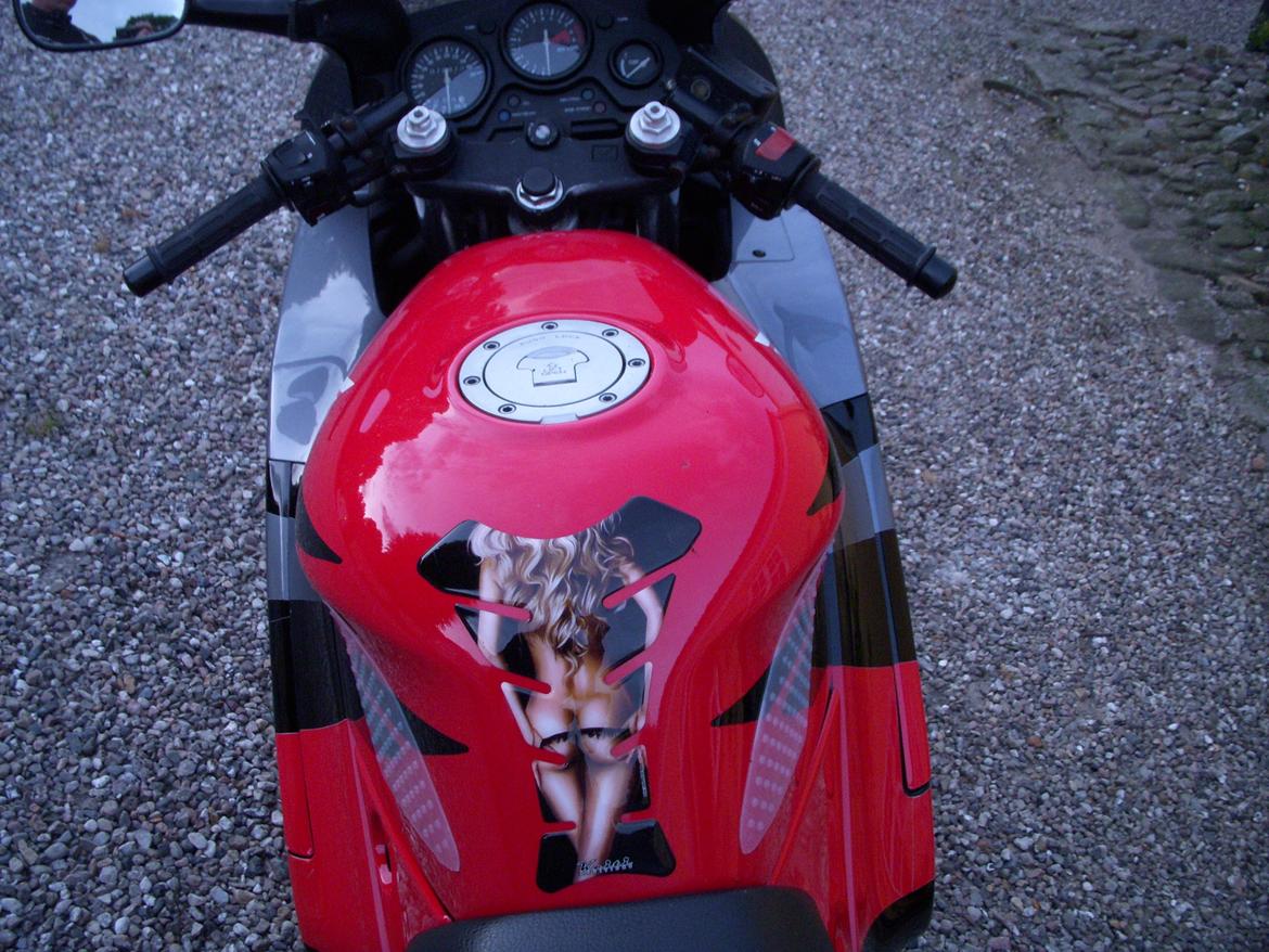 Honda Cbr 600 F3 billede 6