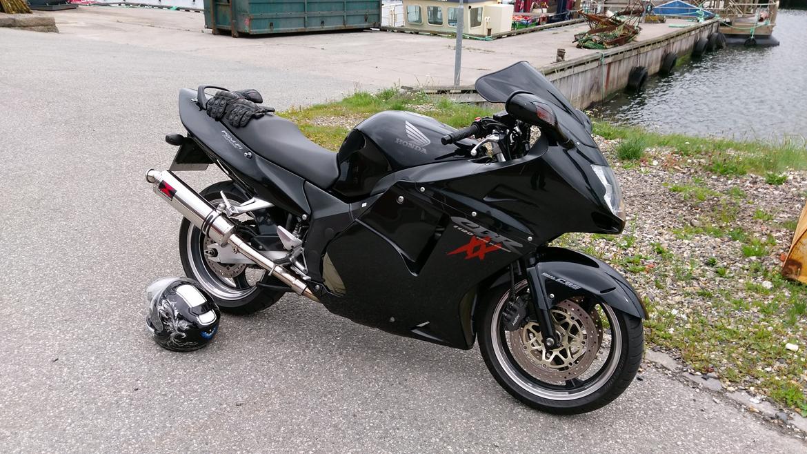Honda blackbird billede 2