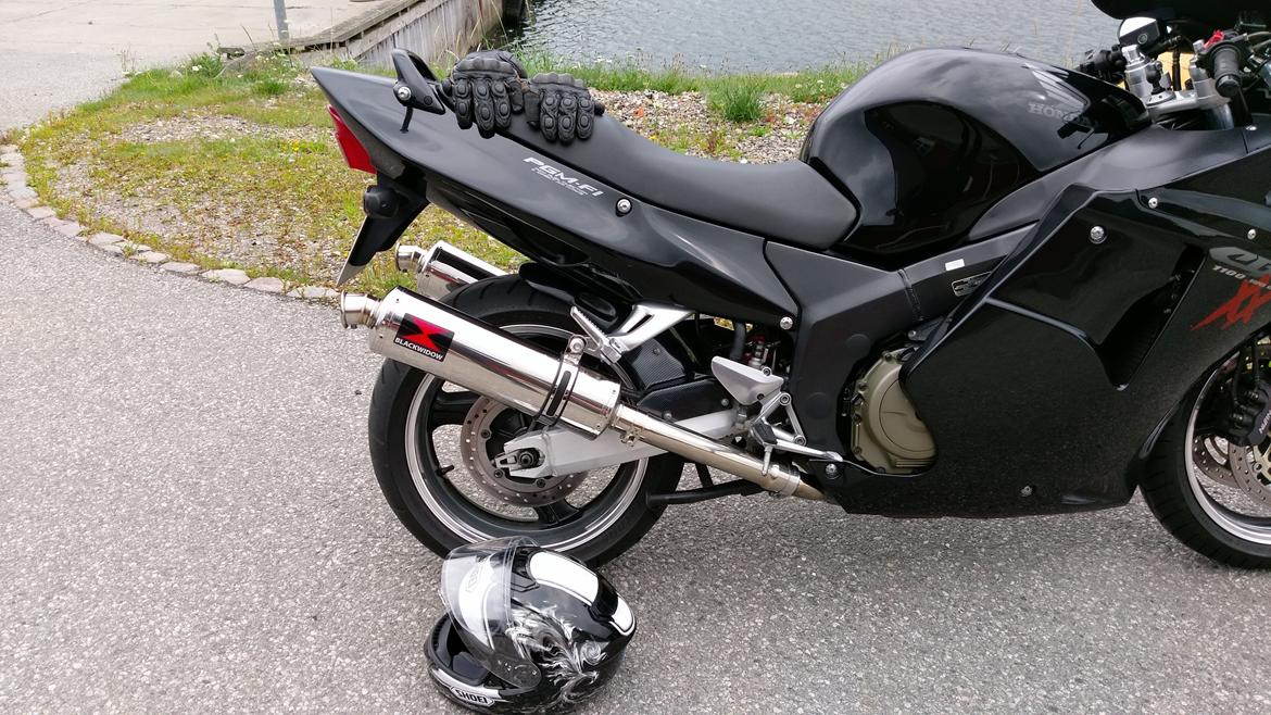 Honda blackbird billede 4