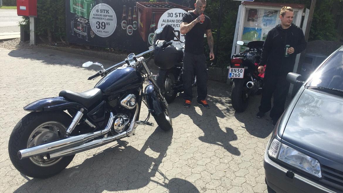 Suzuki VZ 800 Marauder billede 3